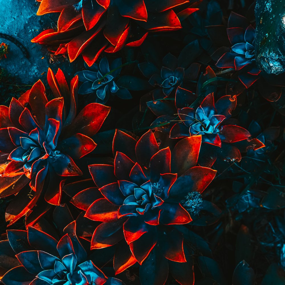 freelance-artist-floral-4 Flower Bed